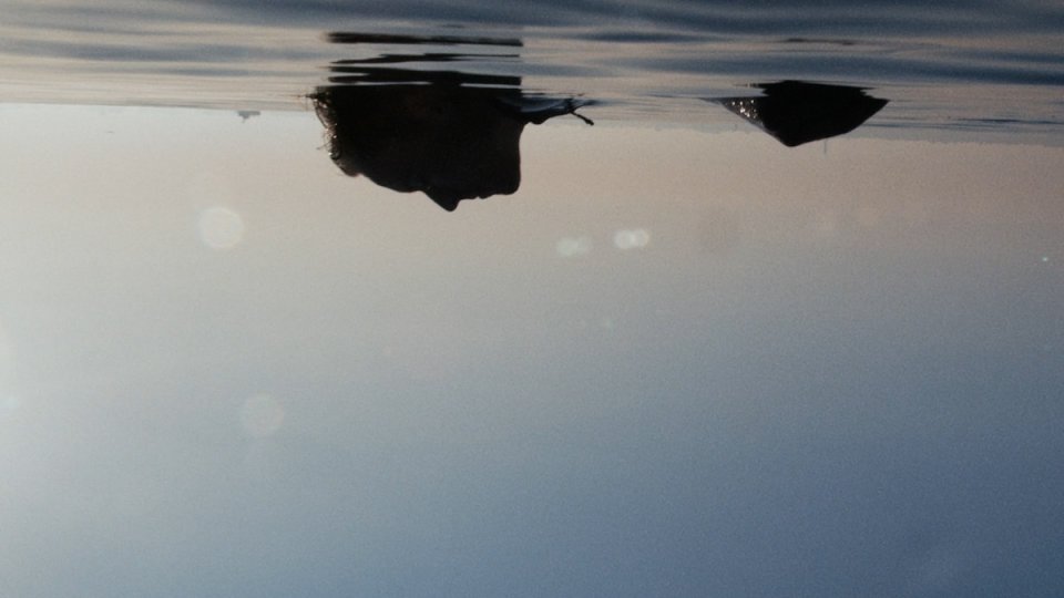 Spiegelung eines Vogels im ruhigen Wasser bei Dämmerung